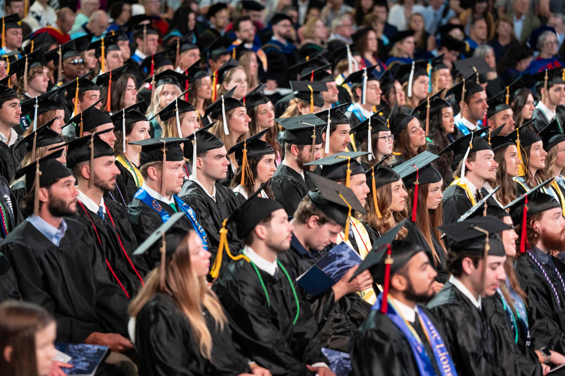 Ave Maria University graduating students