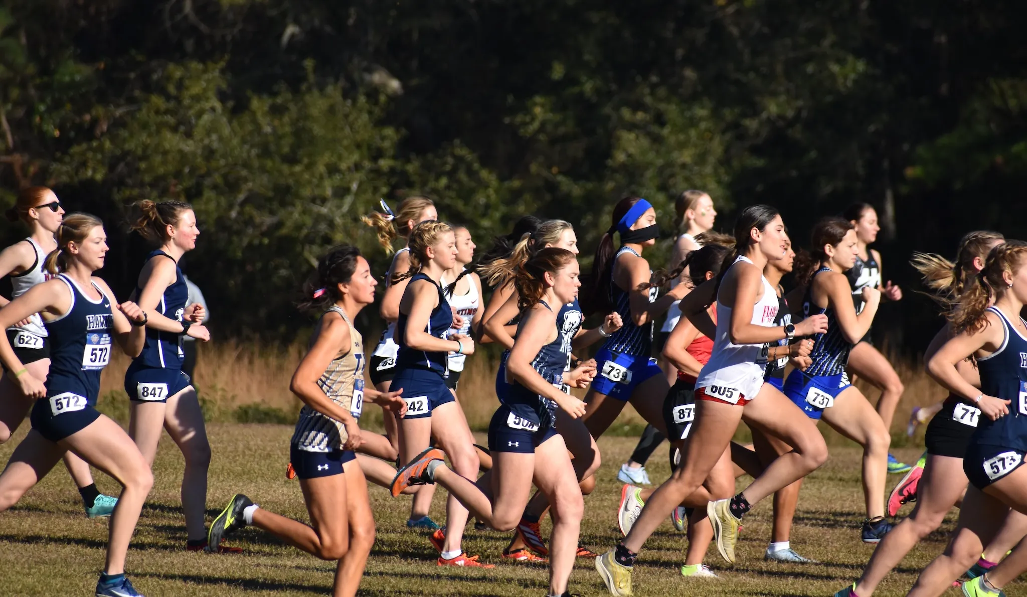 Women's Cross Country
