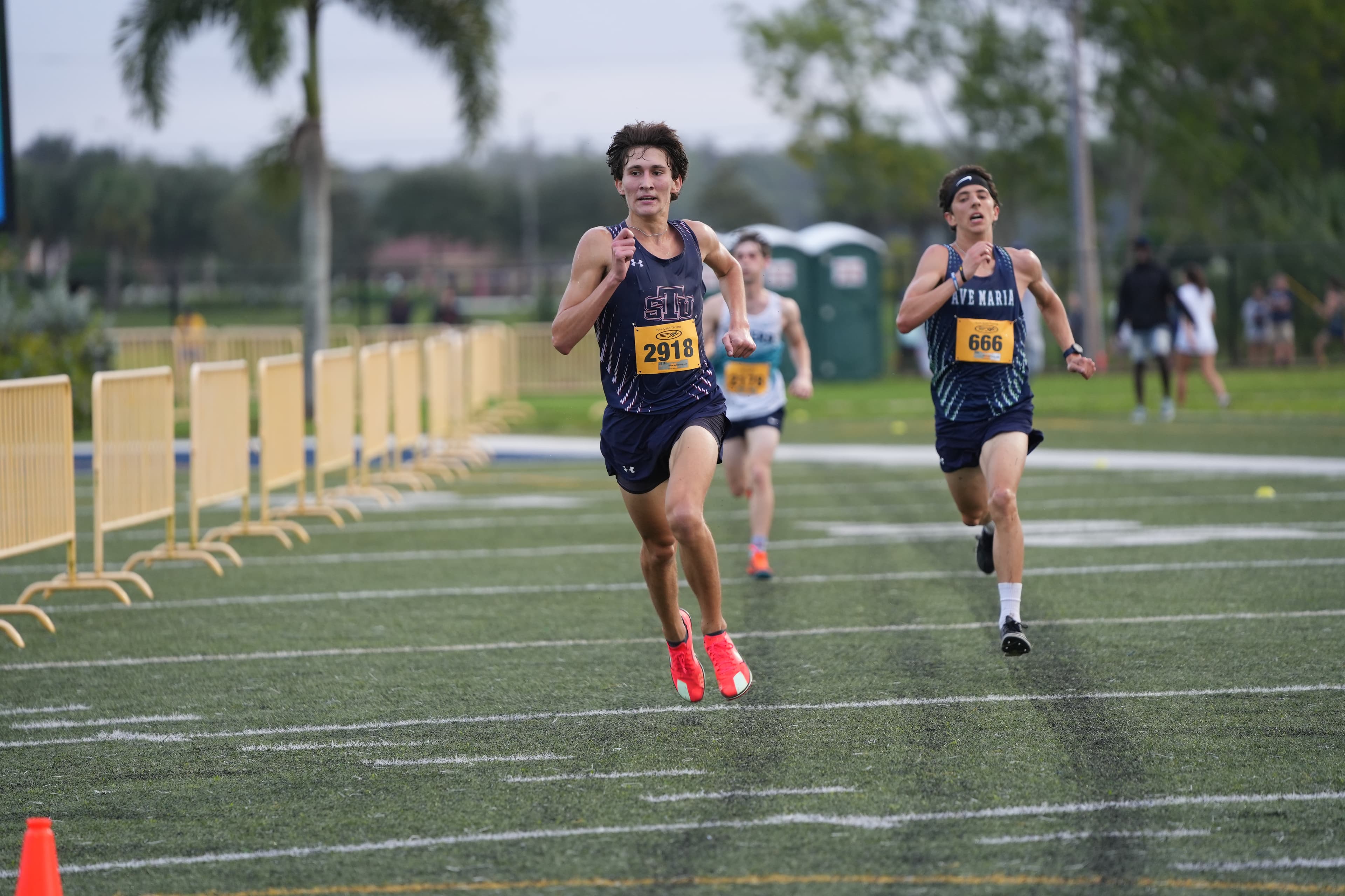 Men's Cross Country
